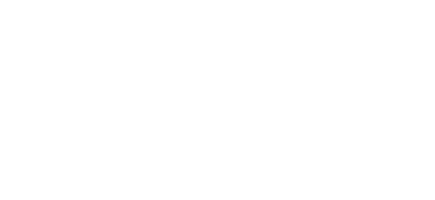 Pixelpi | Google Ads, SEO & GEO AI Search